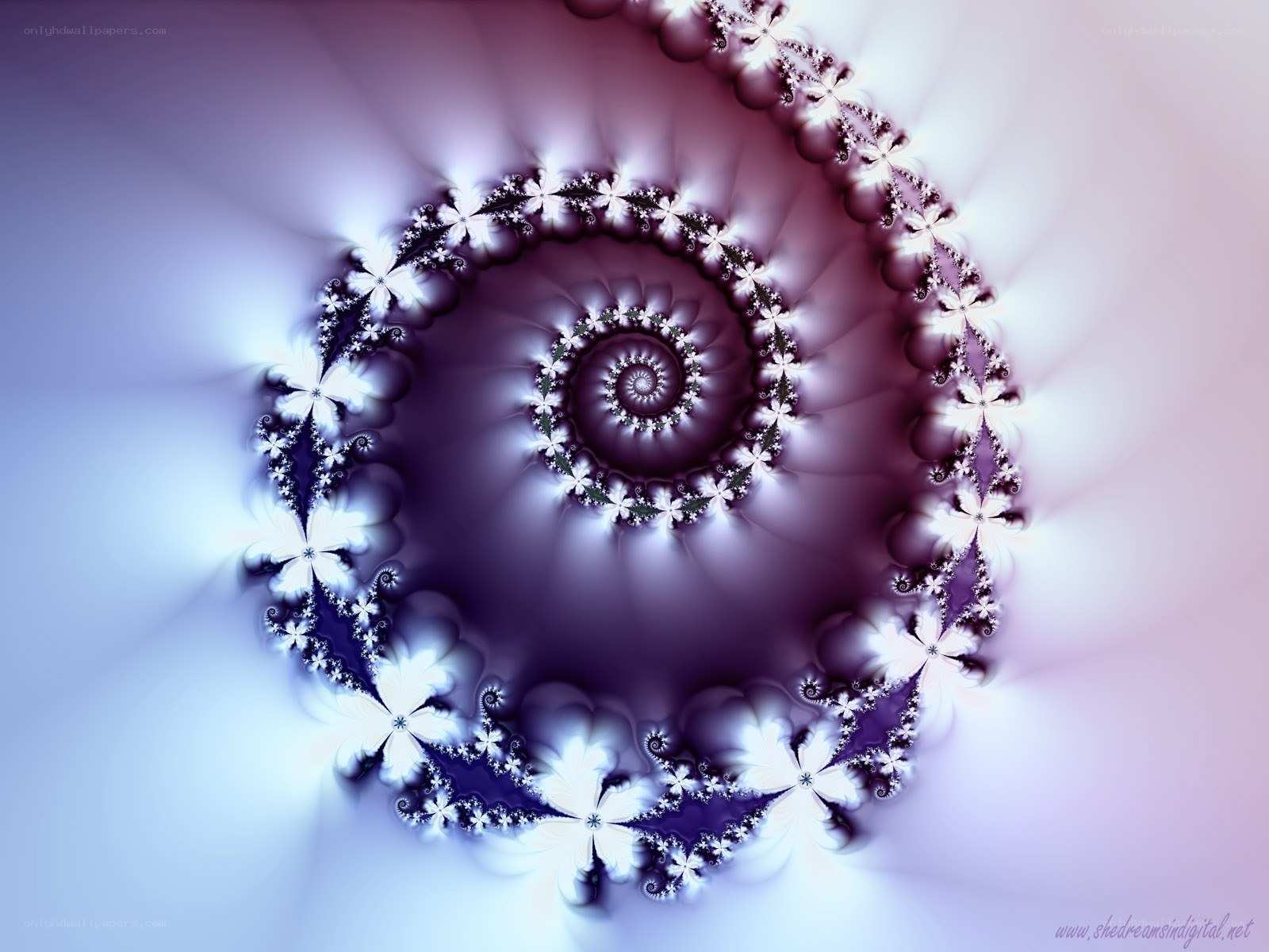 purple fractal spiral