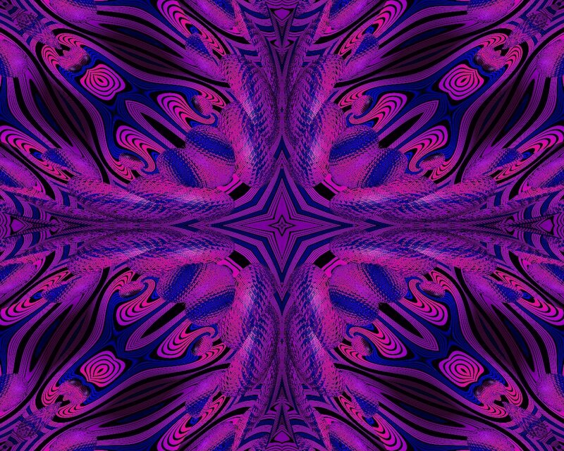 purple fractal symmetry