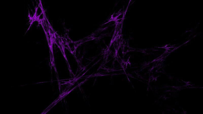 purple fractal web pattern