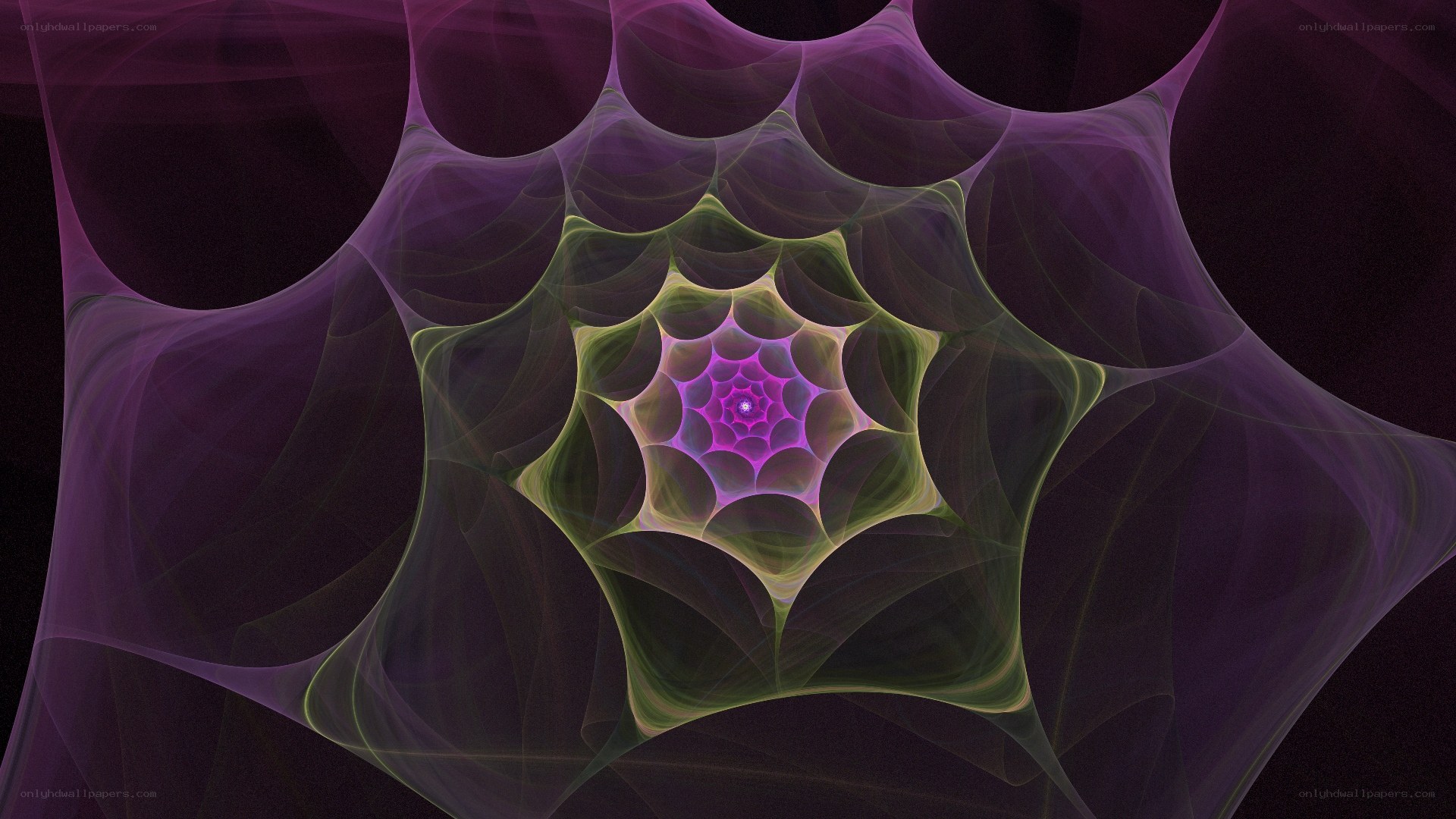 purple fractal web pattern