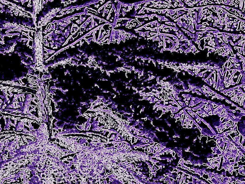 Purple Frost Patterns