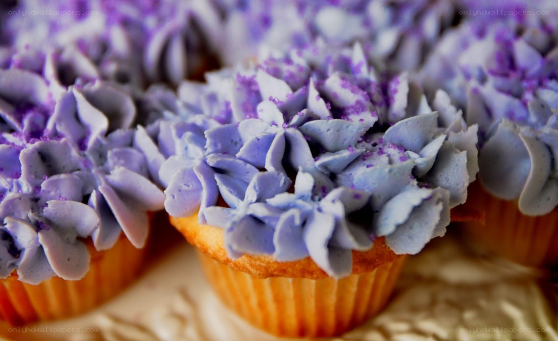 Purple frosted cupcakes