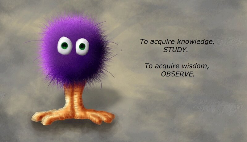 Purple Fuzzy Creature