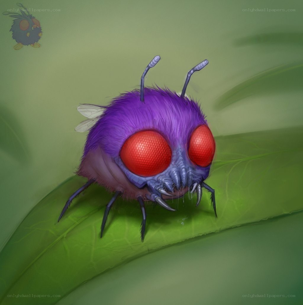 purple fuzzy insect on leaf