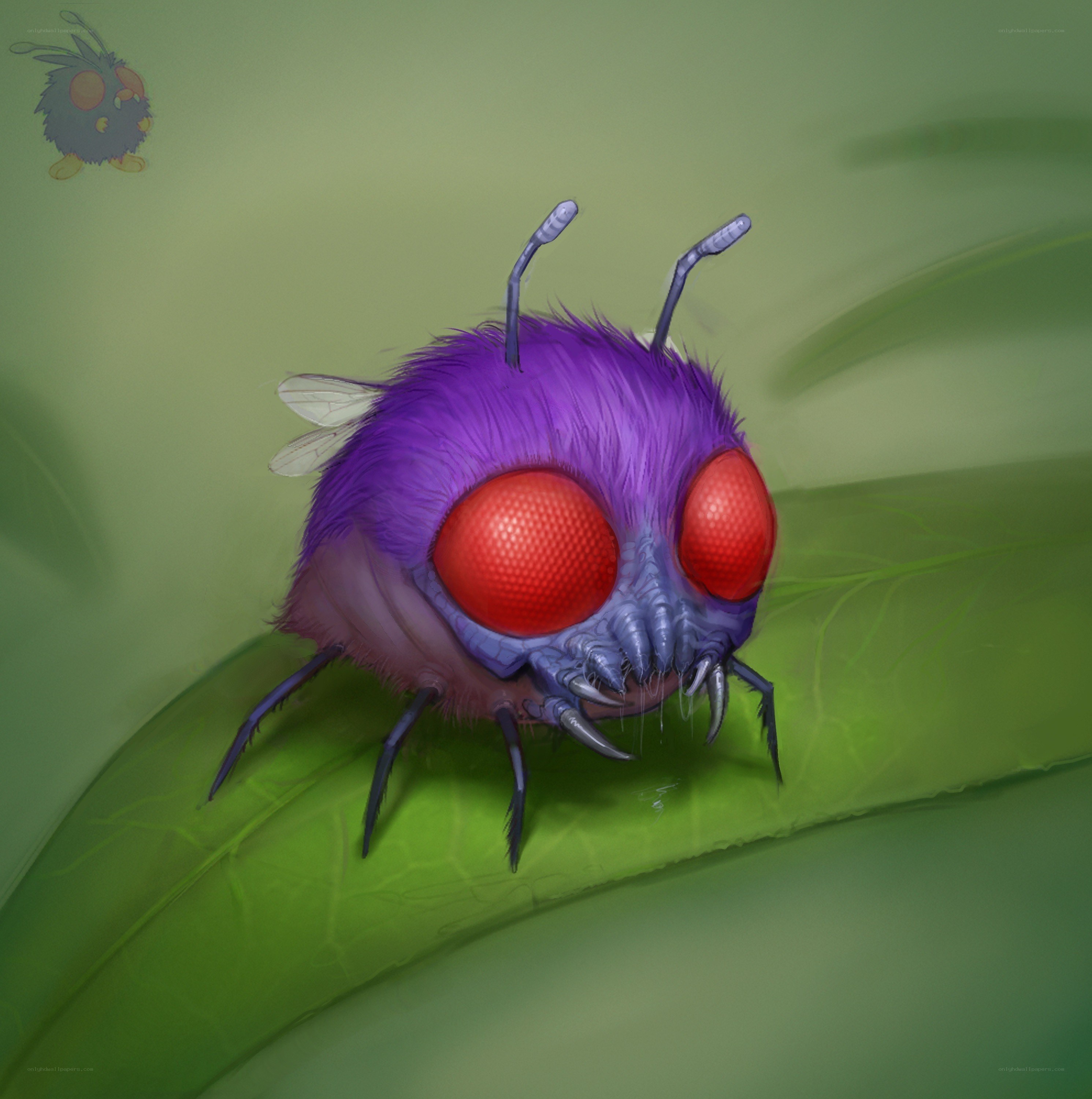 purple fuzzy insect on leaf