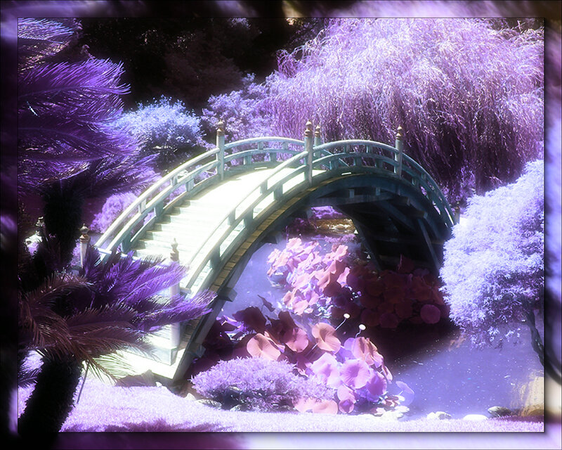 Purple Garden Bridge