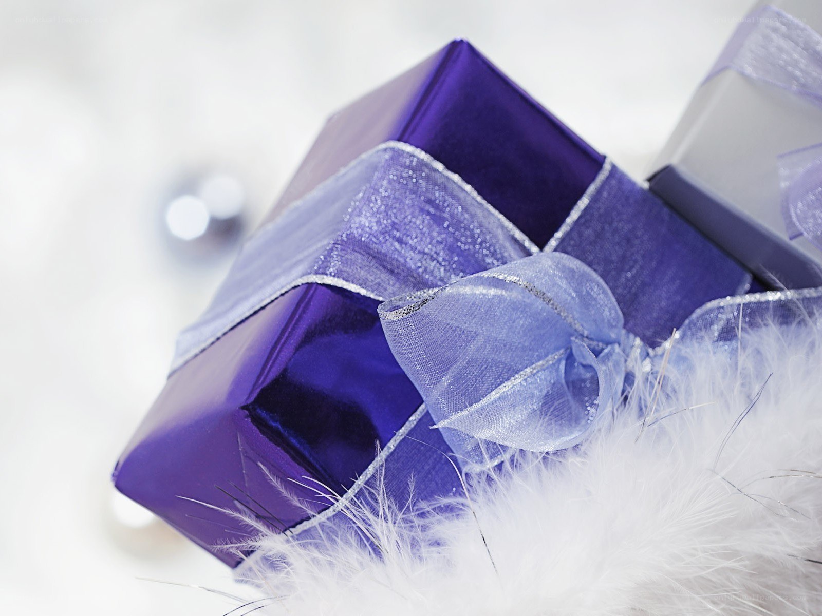 Purple gift box with ribbon