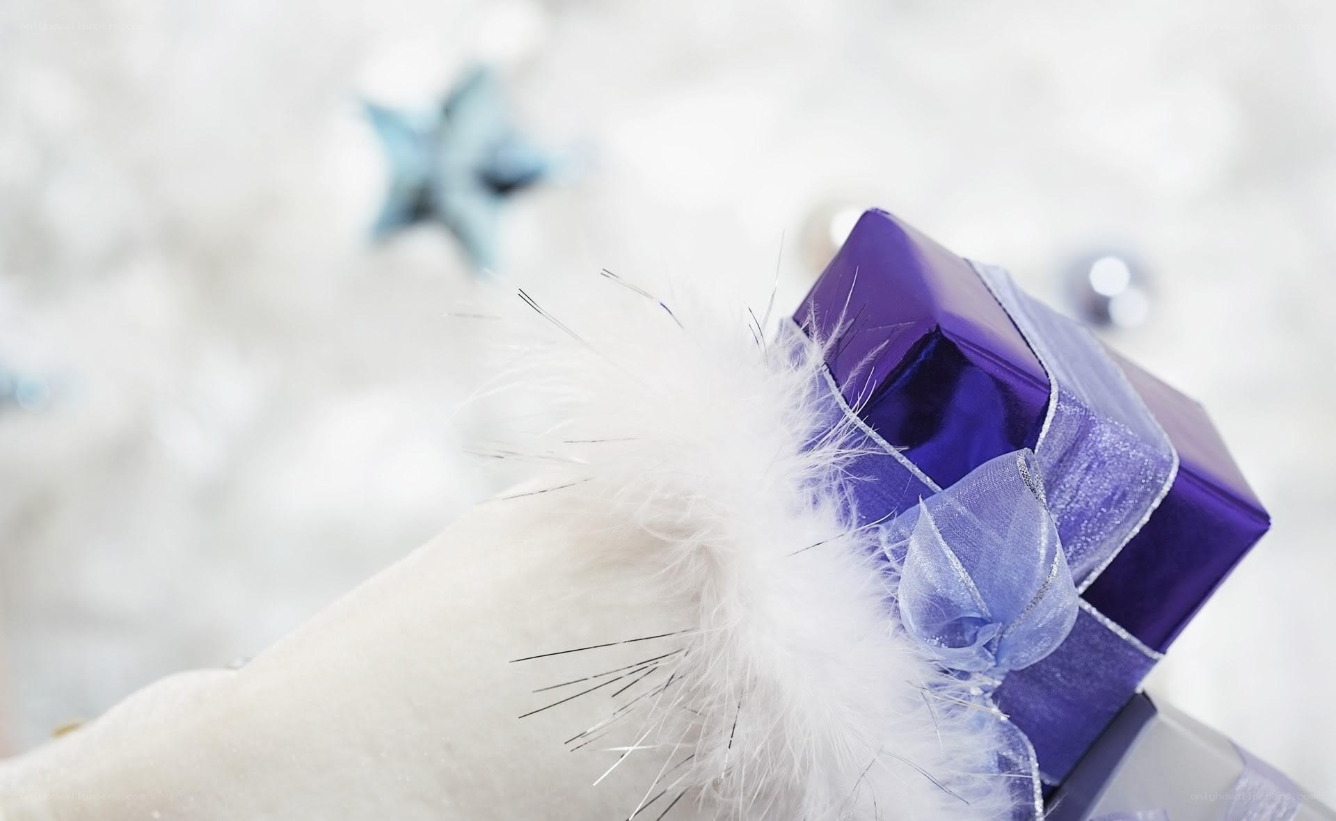 purple gift with white feather