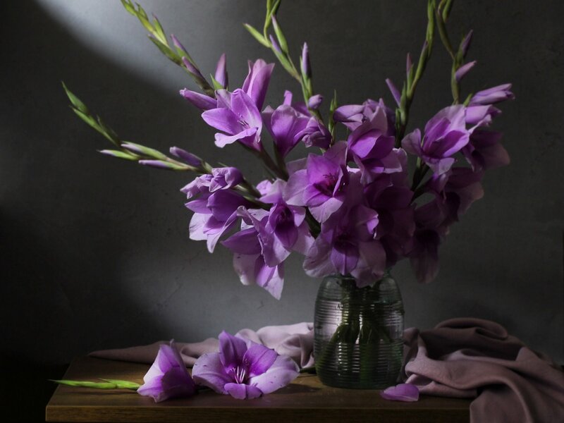 Purple Gladiolus Flowers — Dramatic, Photograph, Vase, Cloth