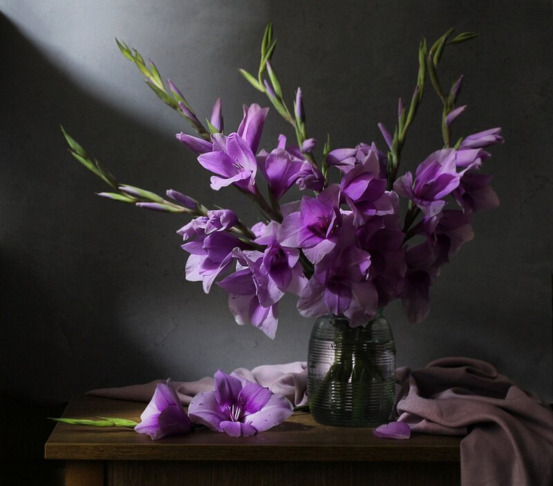 Purple Gladiolus Flowers — Dramatic, Photograph, Vase, Table