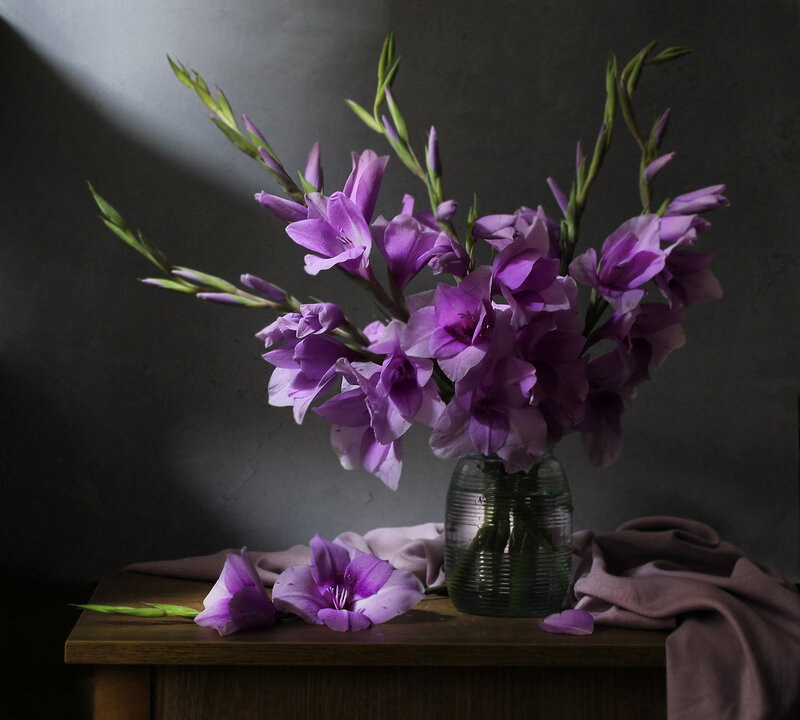 Purple Gladiolus Flowers — Dramatic, Photograph, Vase