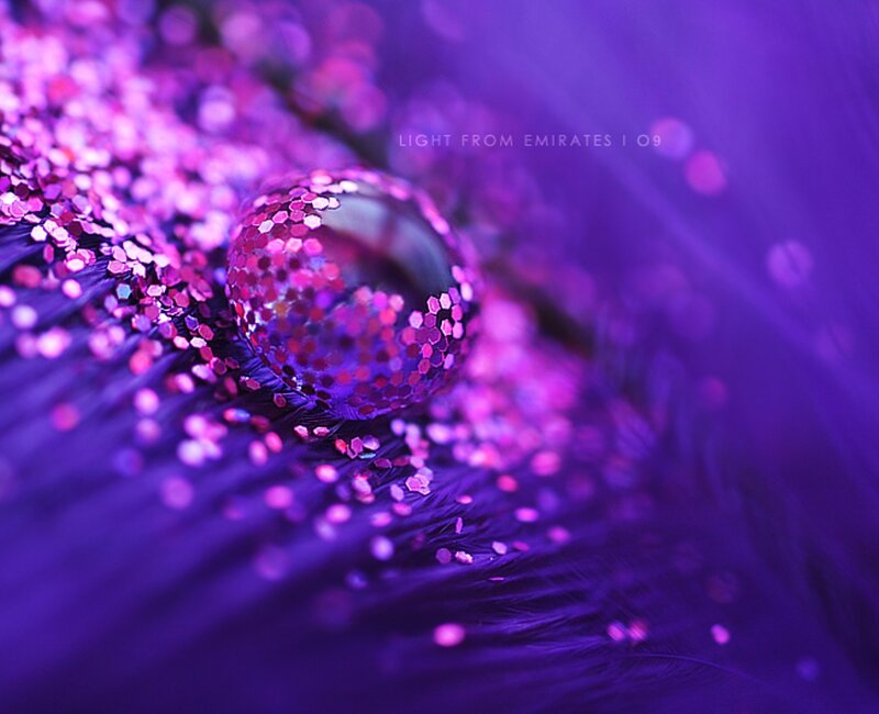 Purple Glitter on Feather