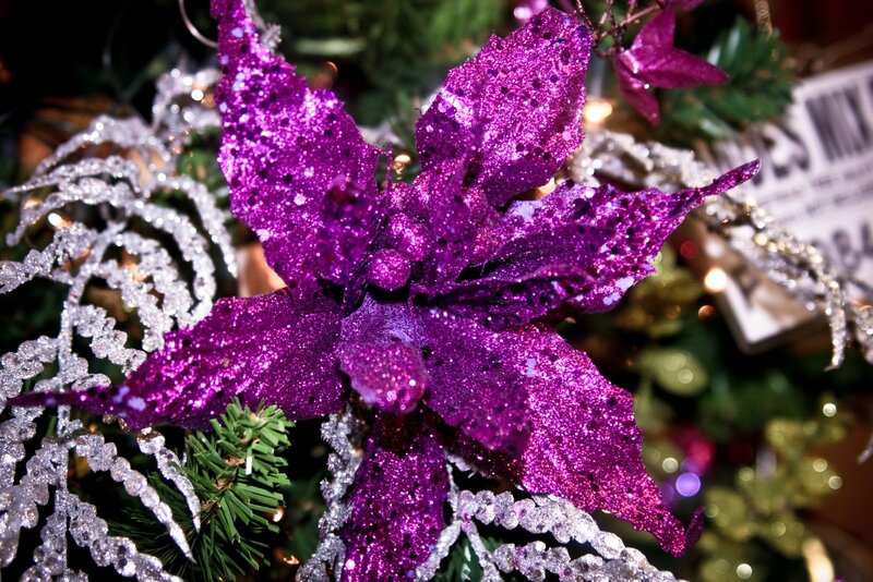 Purple Glitter Poinsettia