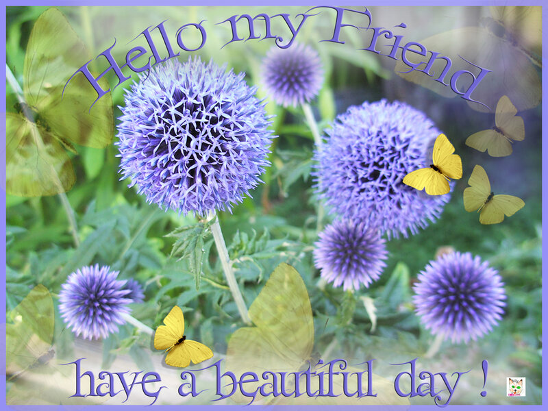 Purple Globe Thistles