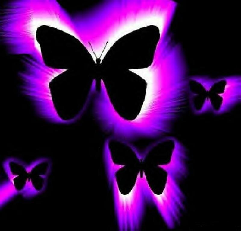 purple glowing butterflies
