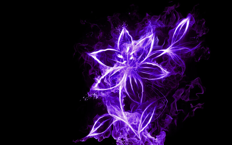 Purple Glowing Flower