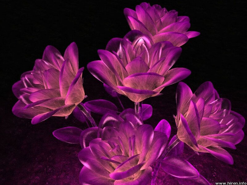 purple glowing flowers