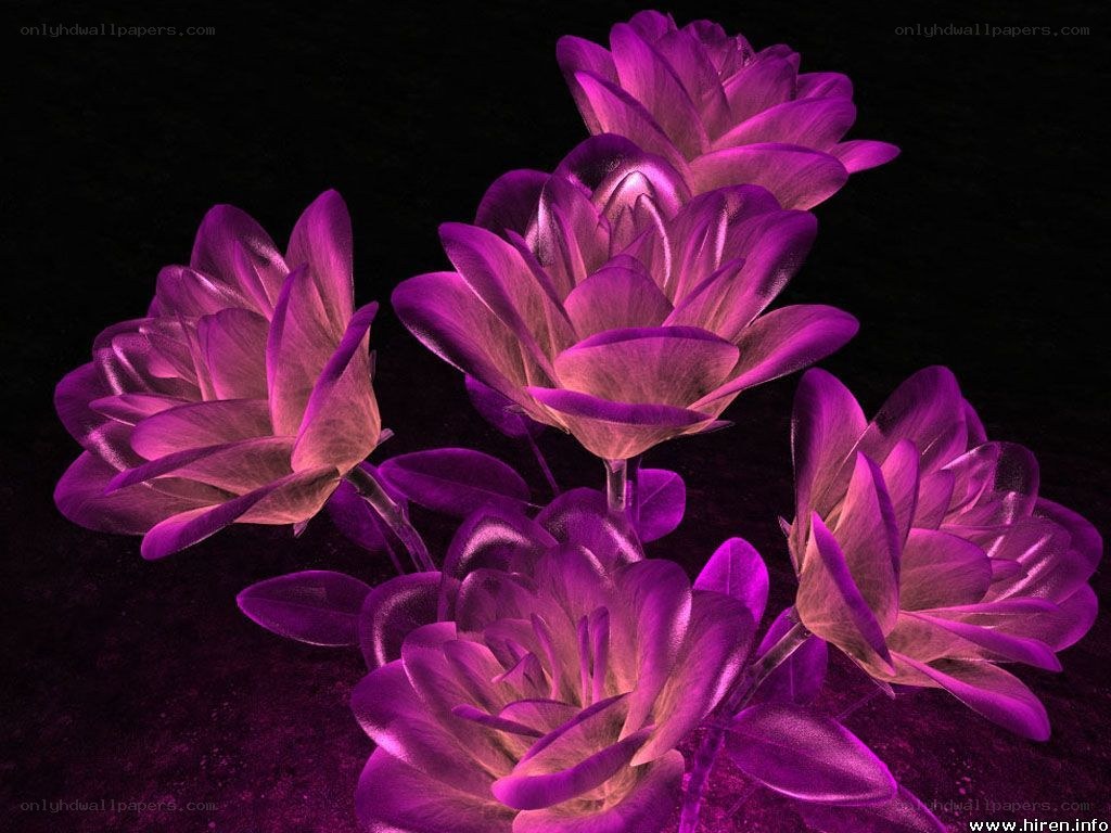 purple glowing flowers