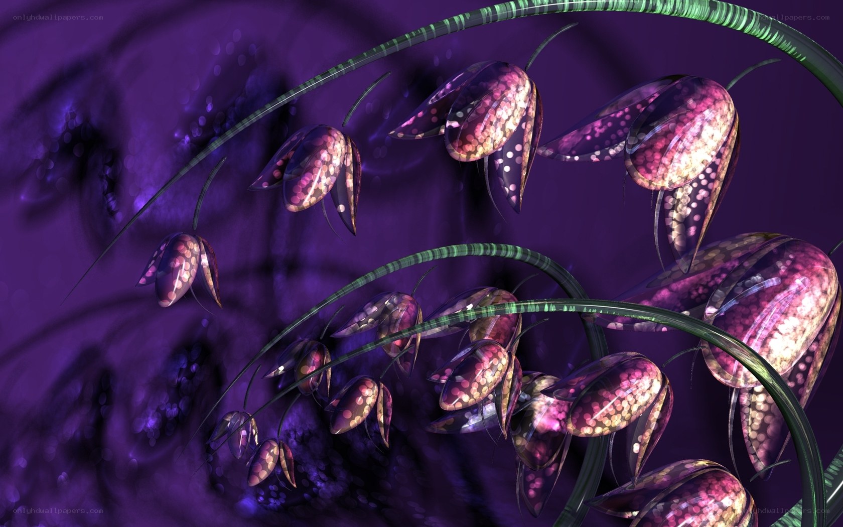 Purple glowing flowers