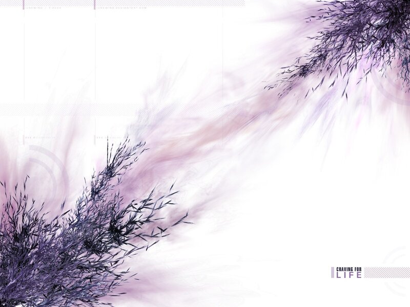 Purple grass against white background