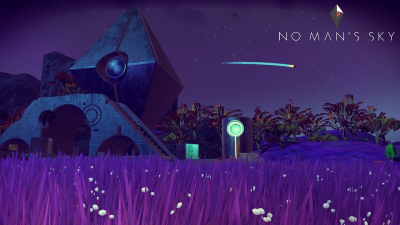 Purple Grass Field
