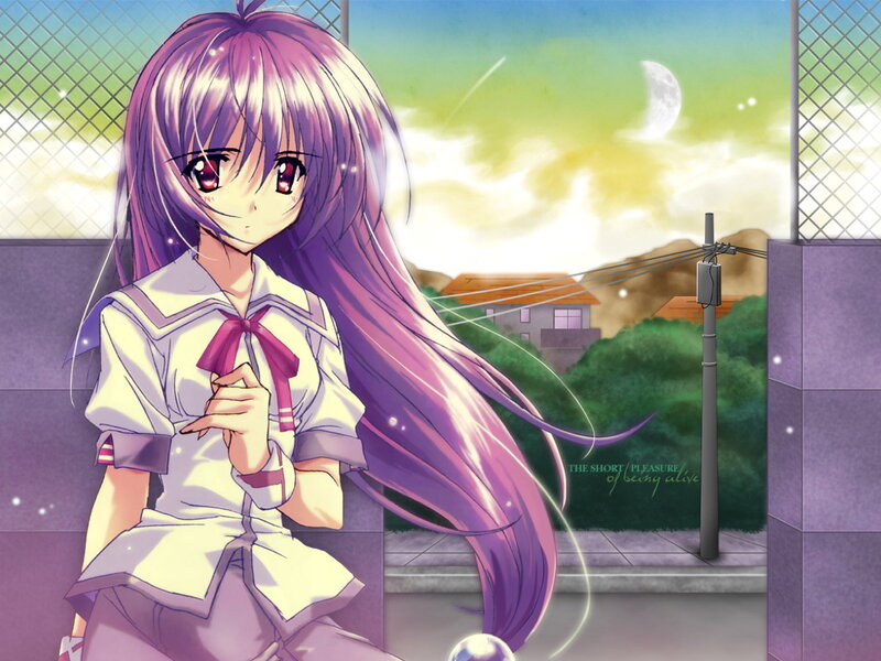 Purple-haired Anime Girl — Purple, Serene, Night, Moon