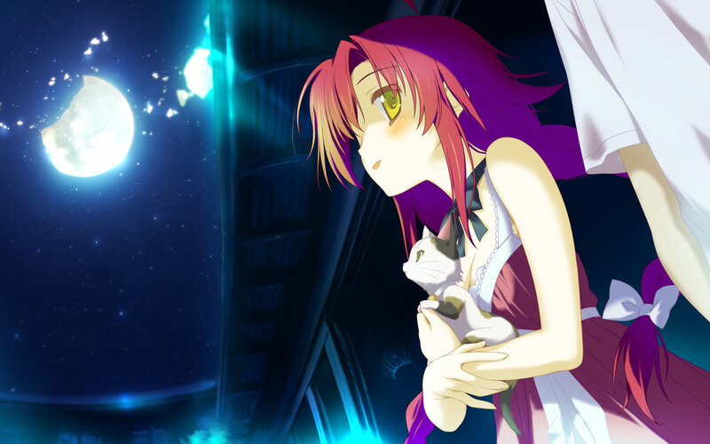 Purple-haired Girl Holding Cat — Purple