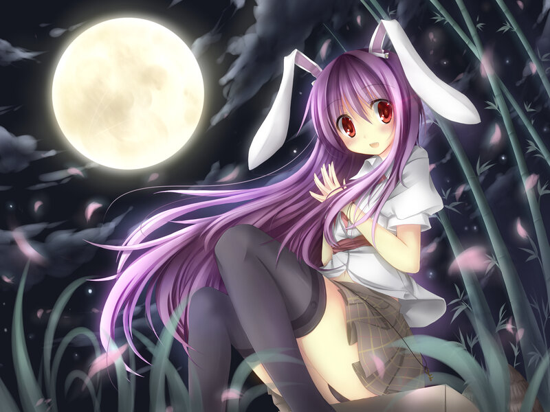 Purple-haired Girl with Bunny Ears — Purple, Serene