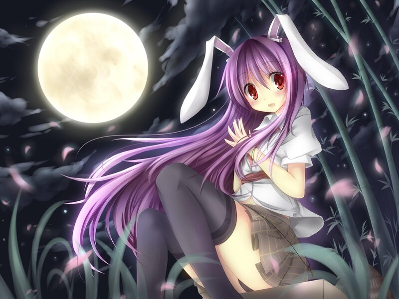 Purple-haired Girl with Bunny Ears — Purple