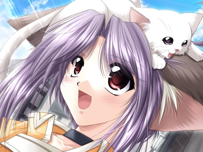 Purple-haired Girl with Cat — Purple, Cheerful