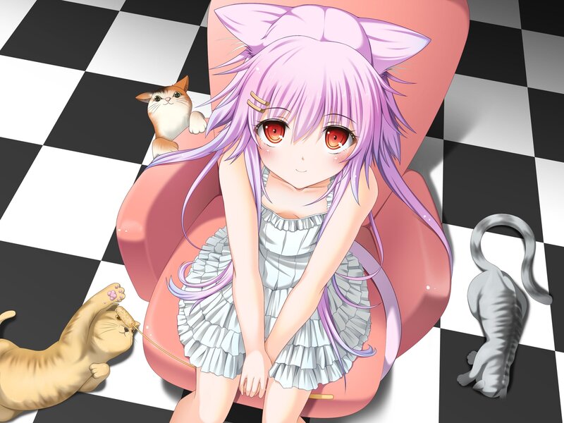 Purple-haired Girl with Cats — Pink