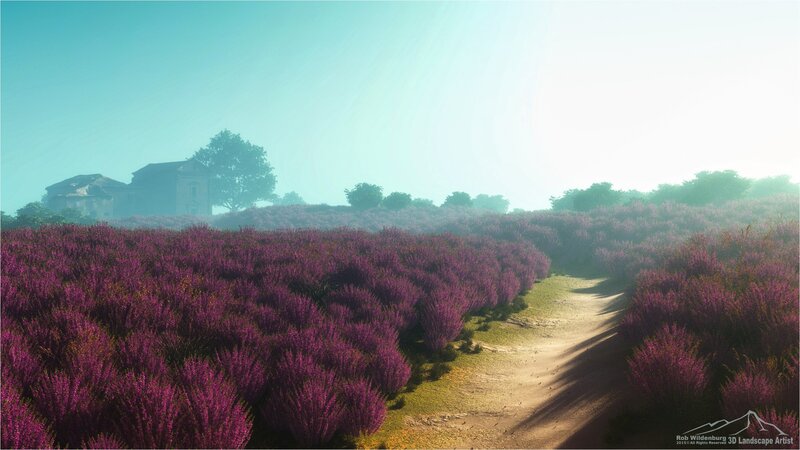 Purple Heather Field — Serene, Morning, 3d Render
