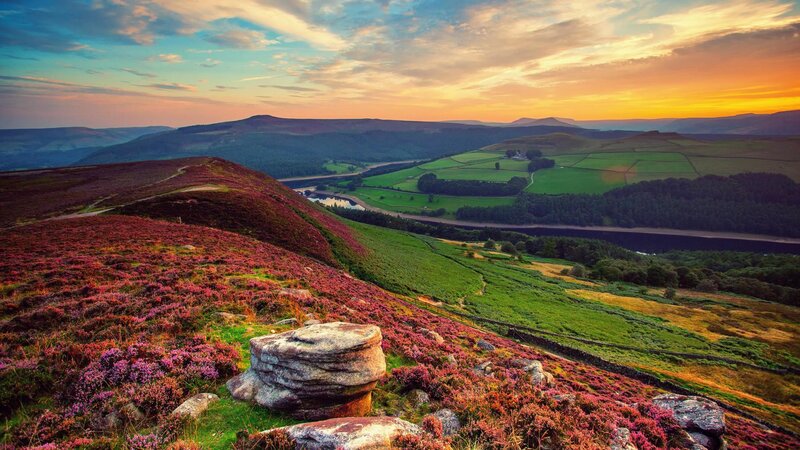 Purple Heather Hills — Serene, Sunset, Photograph