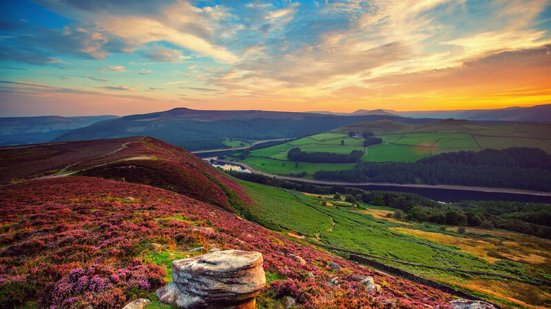 Purple Heather Hills — Serene