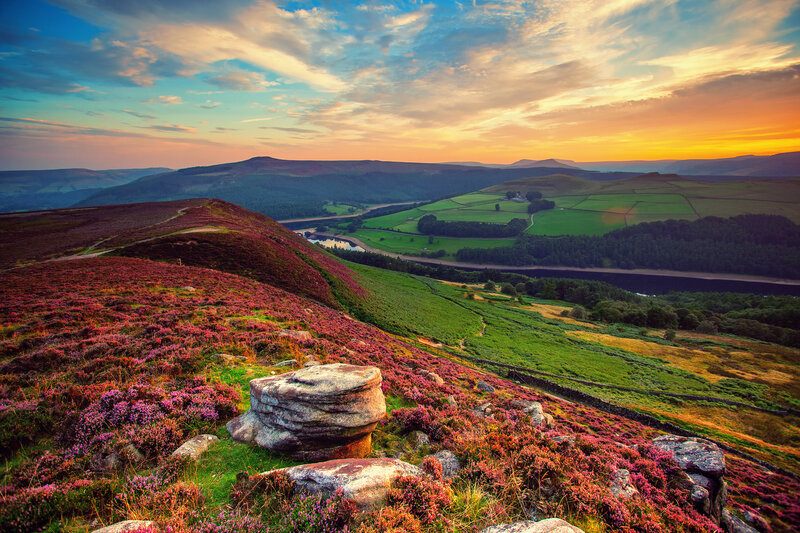 Purple Heather Hills