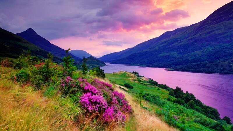 Purple Heather on Hillside — Dramatic, Sunset, Photograph, River