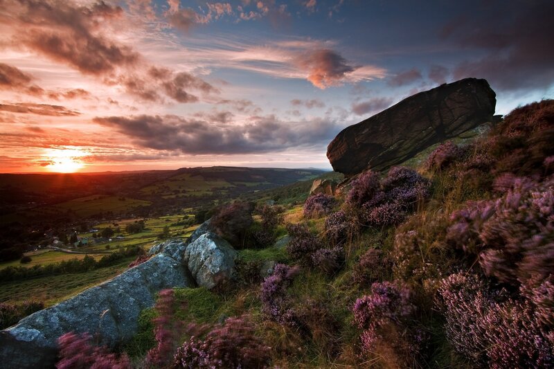 Purple Heather on Hillside — Dramatic, Sunset, Photograph, Rocks