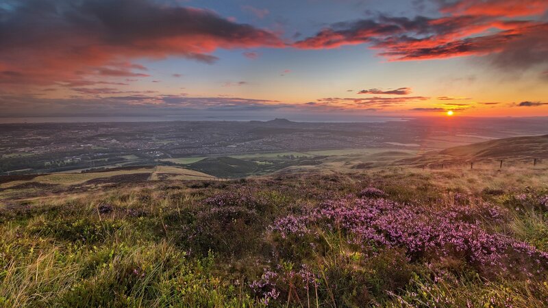 Purple Heather on Hillside — Dramatic, Sunset, Photograph