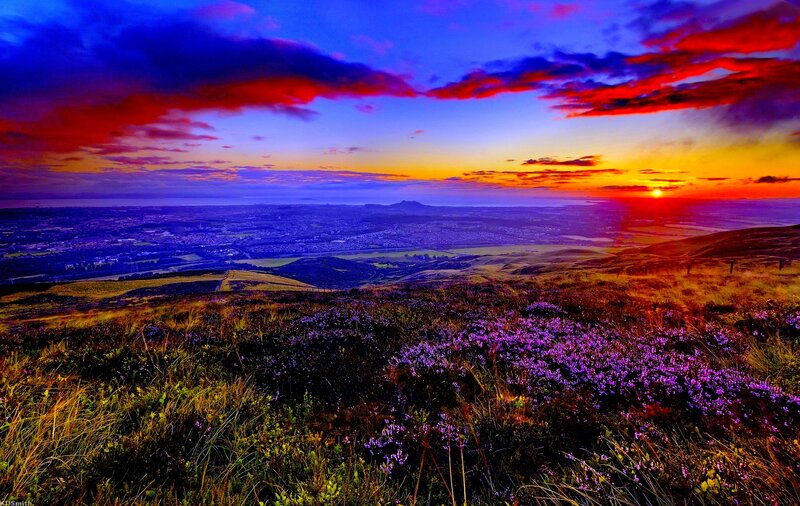 Purple Heather on Hillside — Dramatic, Sunset