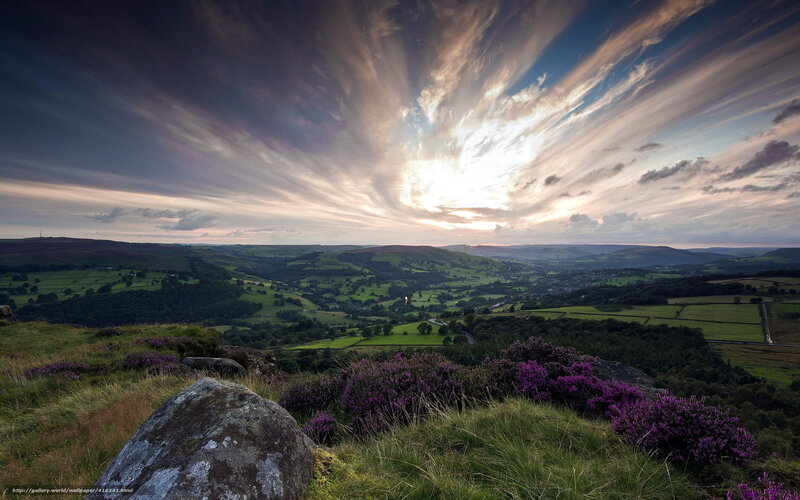 Purple Heather on Hillside — Green, Dramatic