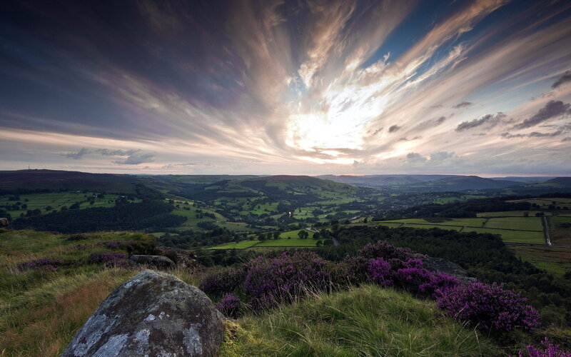 Purple Heather on Hillside — Green