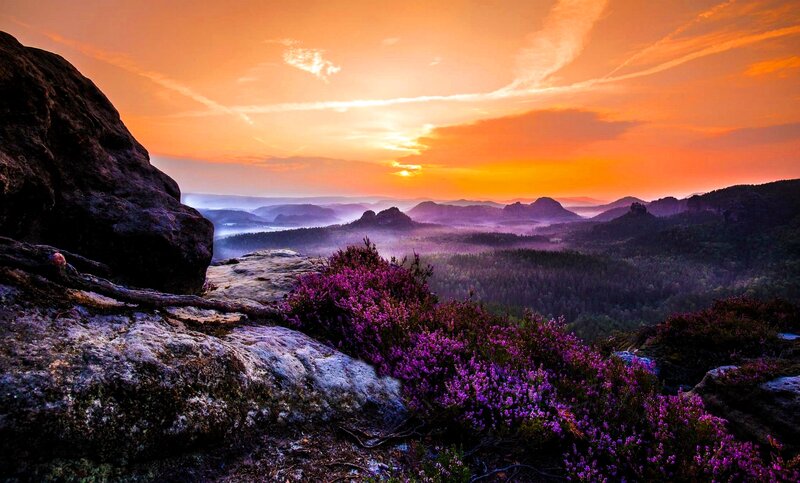 Purple Heather on Rocks — Orange