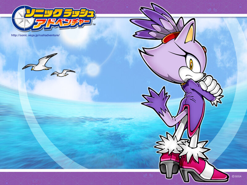 Purple Hedgehog Character — Blue