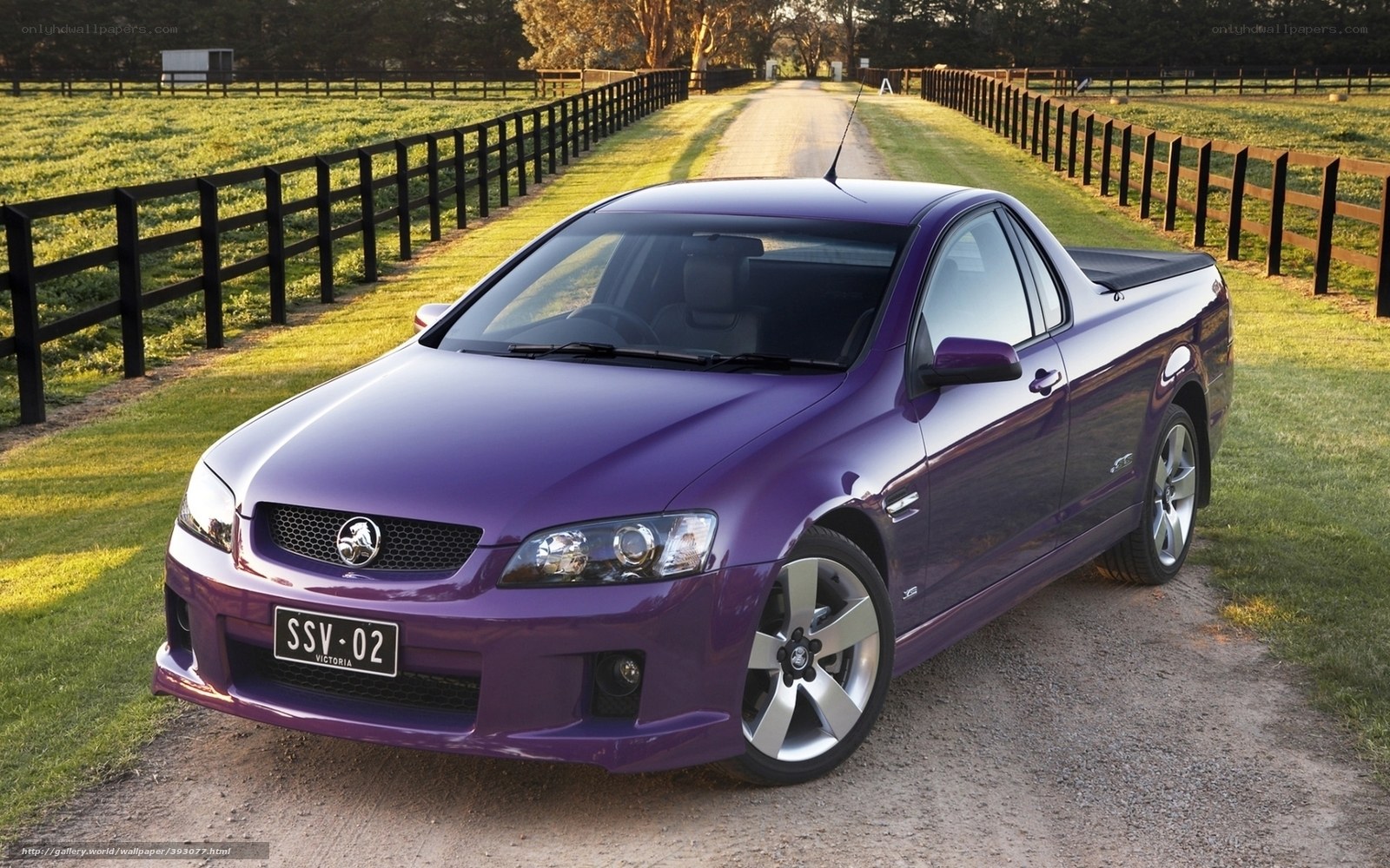 purple Holden utility on a country road