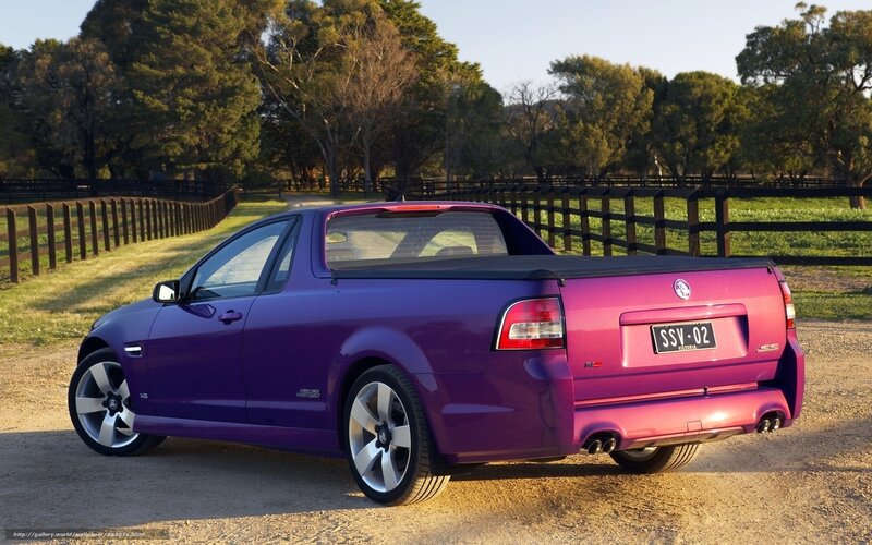 purple Holden utility truck
