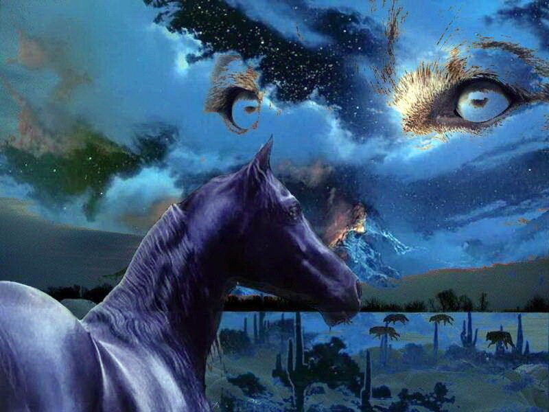 Purple Horse in Desert