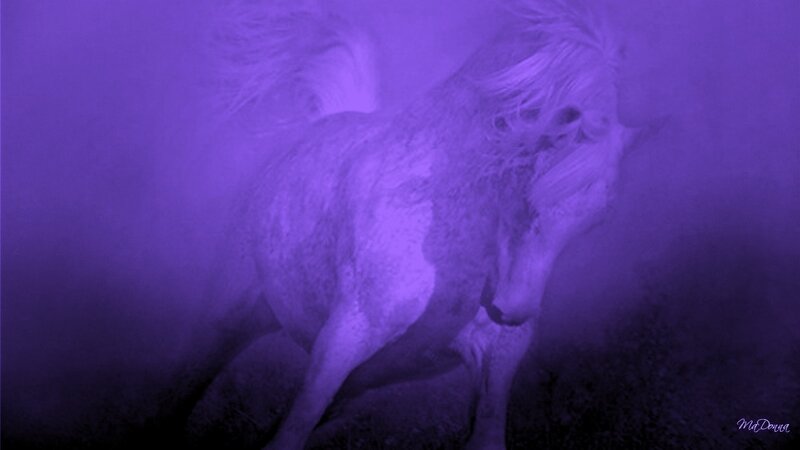 purple horse in mist