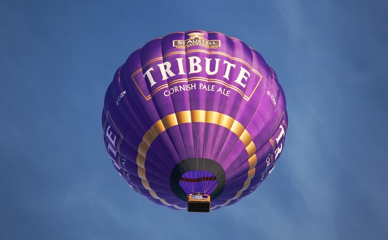 Purple hot air balloon in sky