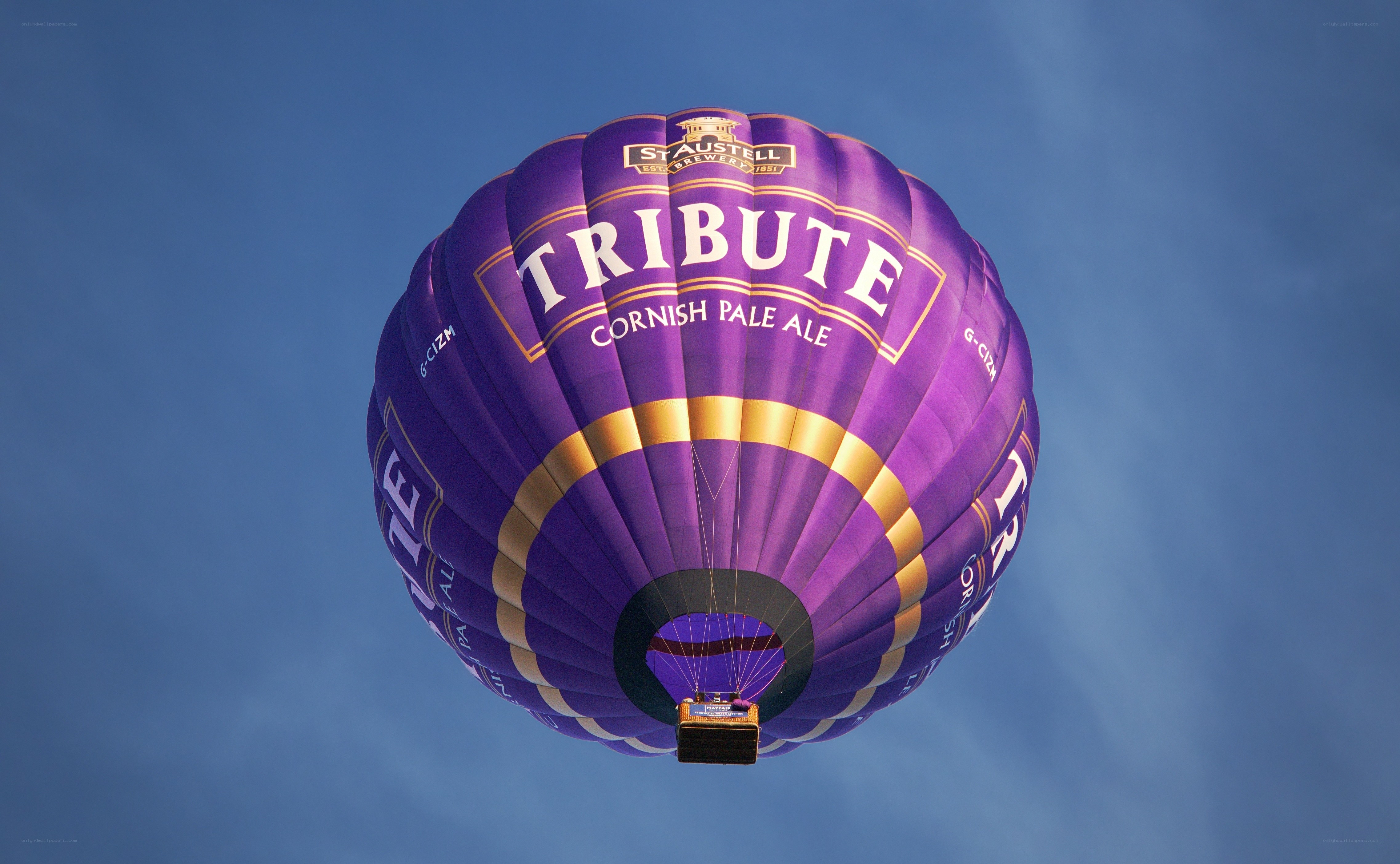 Purple hot air balloon in sky