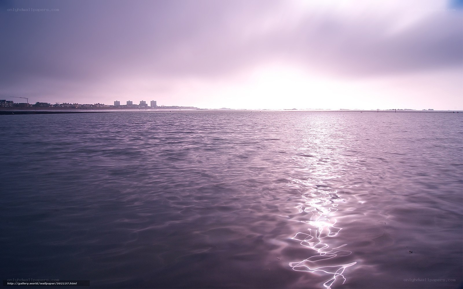 Purple-hued coastal waters